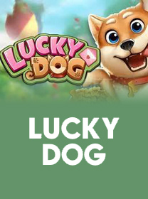 CS8 🎰 App de Cassino para Brasileiros